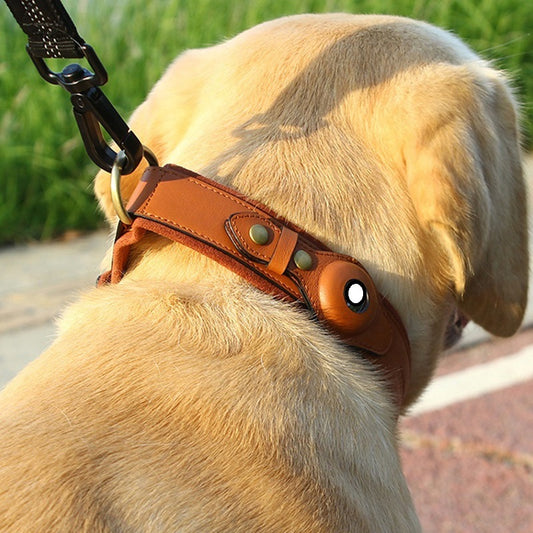 Pet Location Tracker - Leather Pet Collar - allqualityexpress