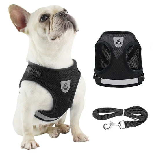 Pet Leash Undershirt Harnesses Breathable Mesh - Easy Adjustable - allqualityexpress