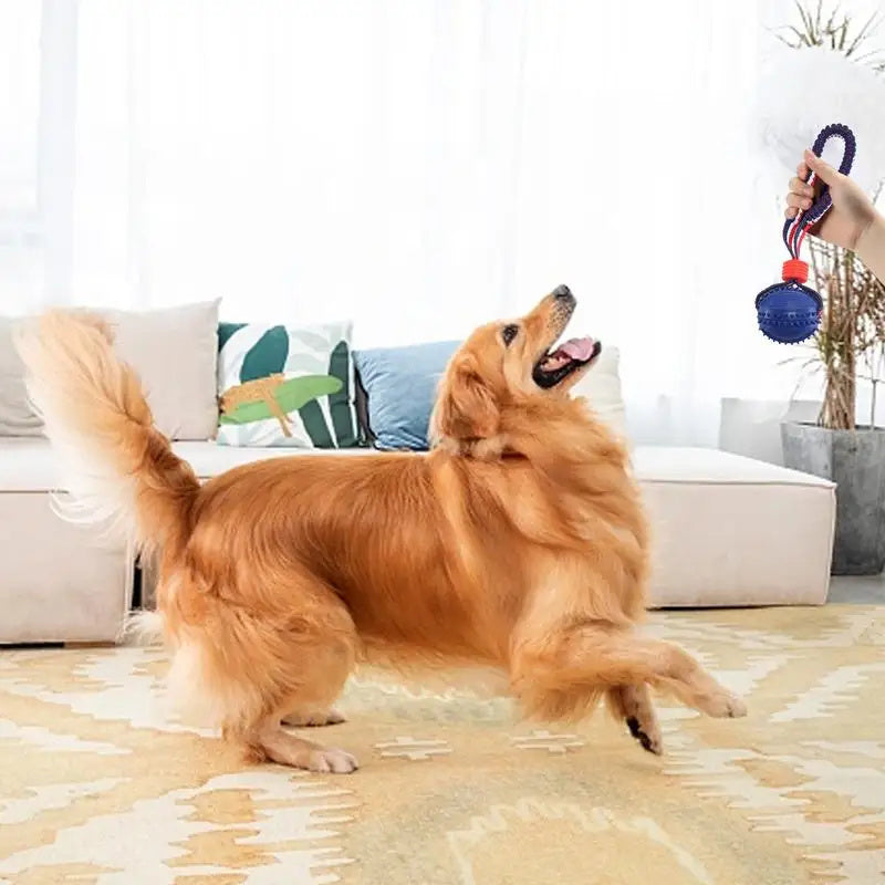 Interactive Dog Toy Ball With Rope - allqualityexpress